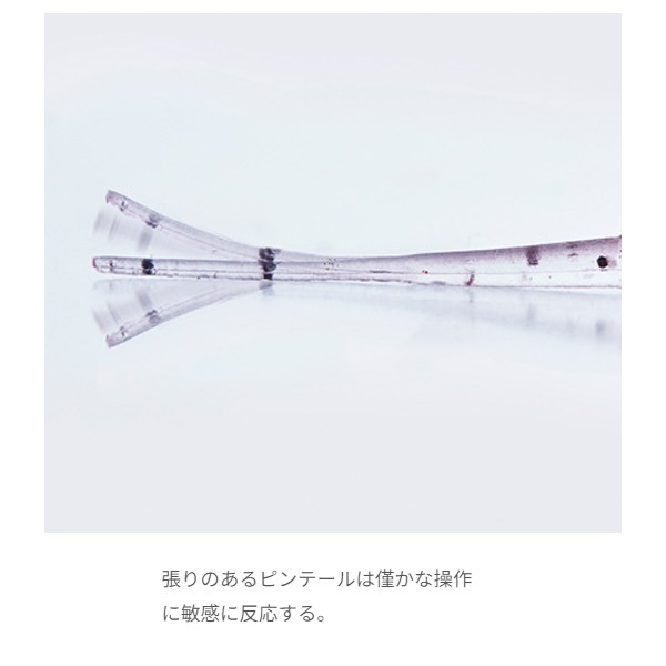 Aji PinPin 1.9インチ